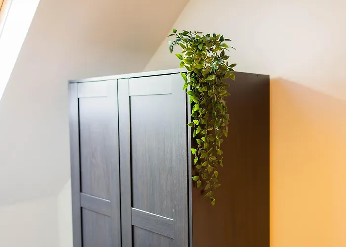 Alphabet - Zwart Janstraat 43 Róterdam