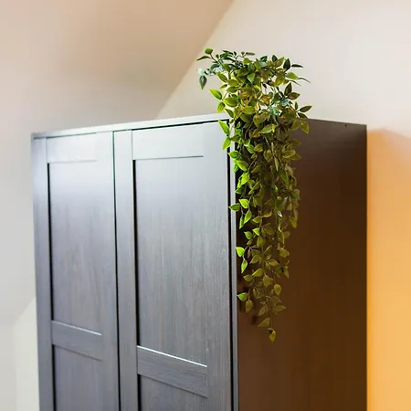 Alphabet - Zwart Janstraat 43 Rotterdam